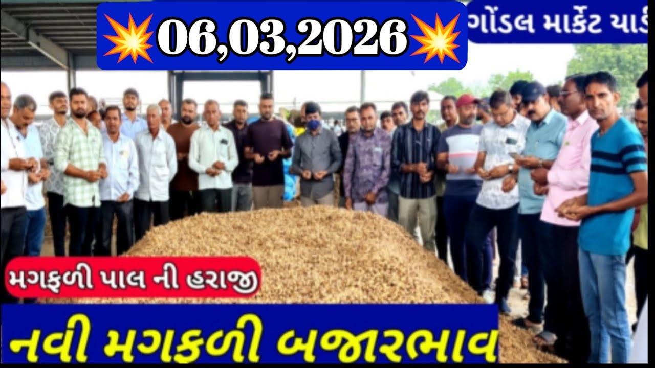 નવી મગફળીના બજાર ભાવ / ગોંડલ મગફળી ના બજાર ભાવ / આજના મગફળીના ભાવ / 06,03,2026