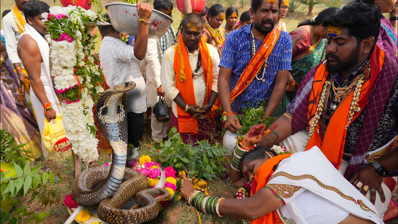 Kuppagandla sharadamma Veeranagamma Putta Kolupu 2026 || Kuppagandla sharadamma Putta sigam 