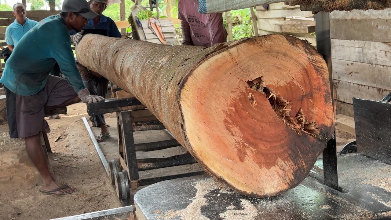 Increasing Productivity in Processing Wood 2x20 with Machinery