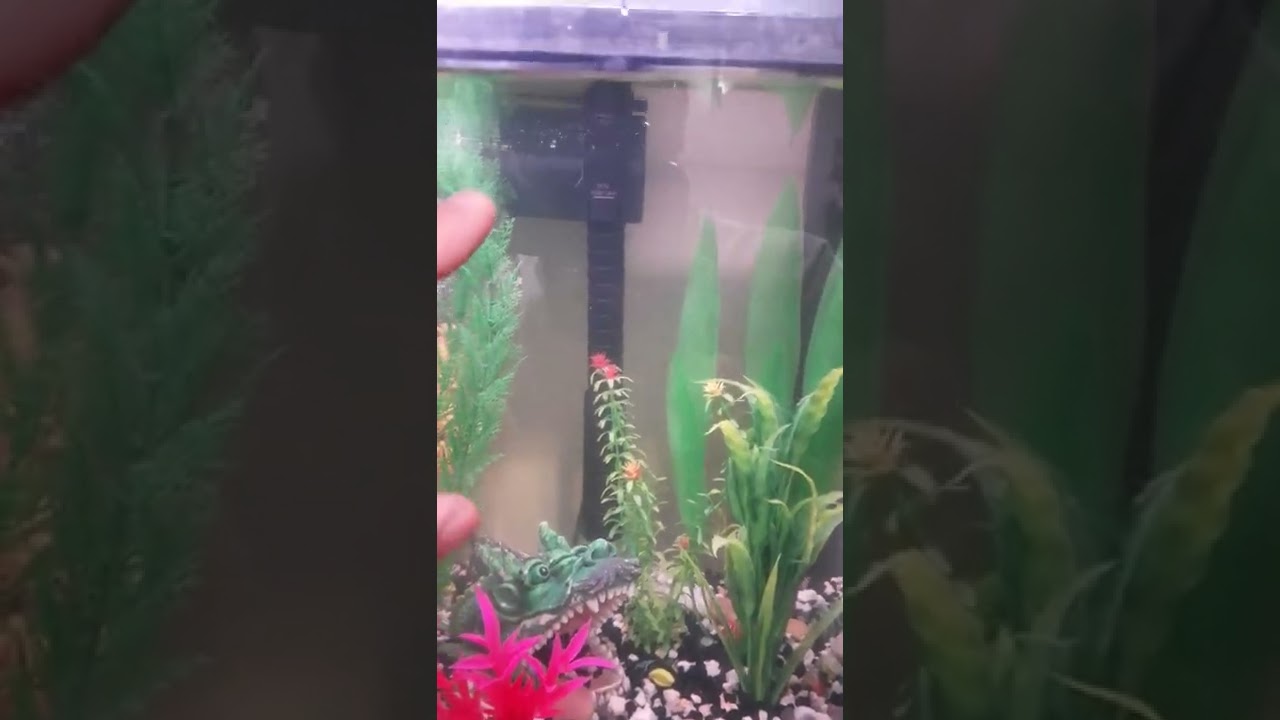 top fin 20 Gal filter not flowing water or just dripping *fix*
