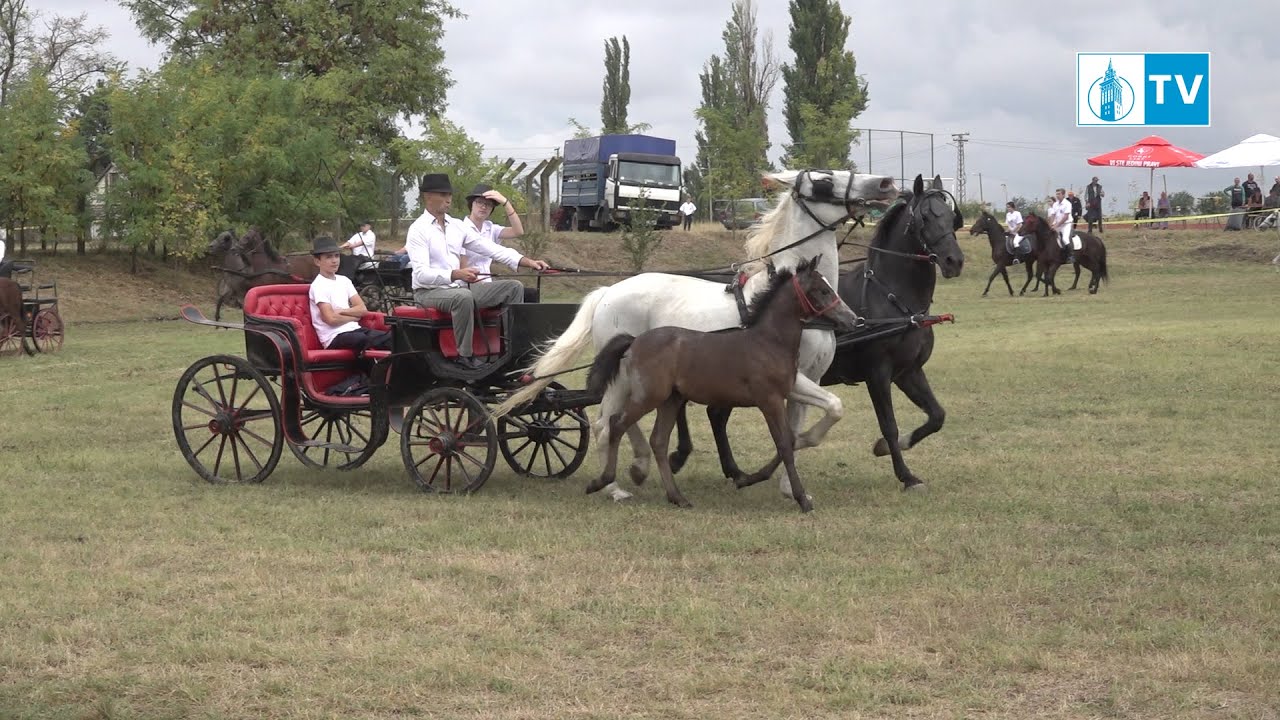 Fijakerijada - tradicija koja opstaje