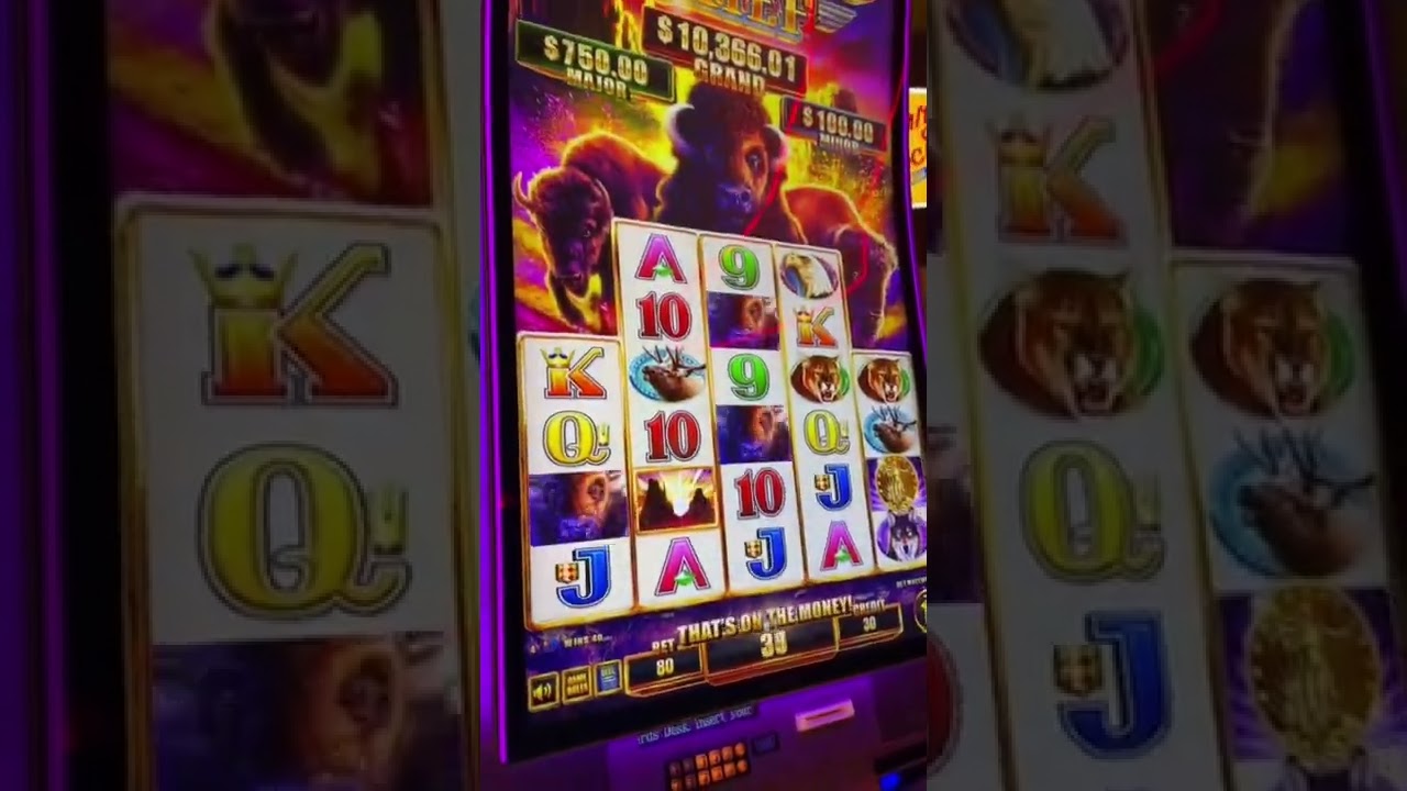 Gambling for the first time #gambling #gamblethings #gamblewithus