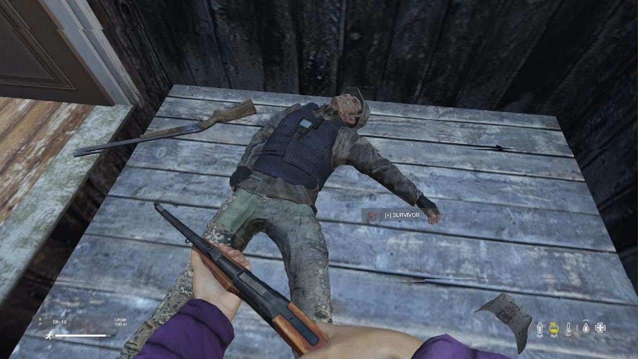 DayZ_20260309145834