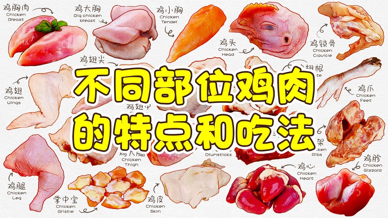 你知道鸡车子么？不同部位鸡肉的特点和吃法，鸡肉的分类有哪些？
