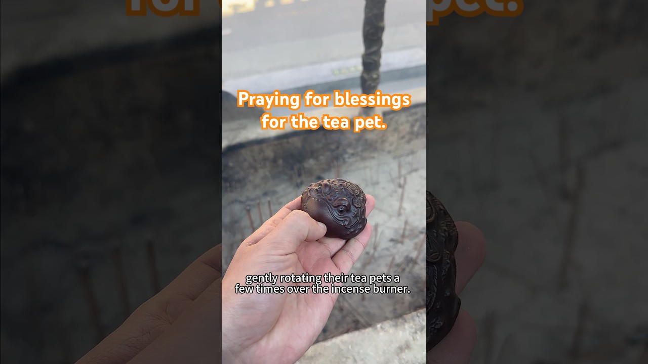 Praying for blessings for the tea pet. 