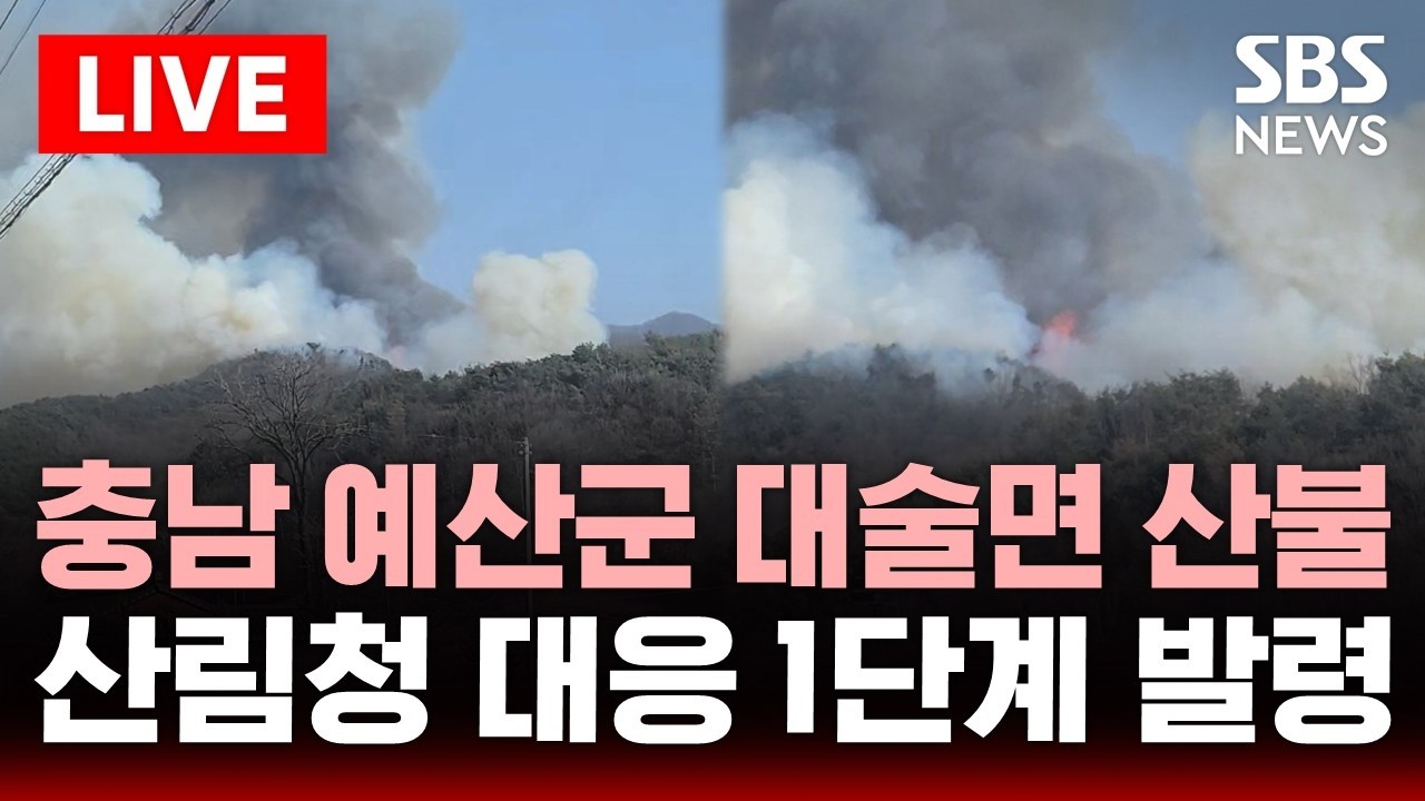 [🔴속보] 충남 예산군 대술면 산불…산림청 대응 1단계 발령 | SBS 실시간 라이브