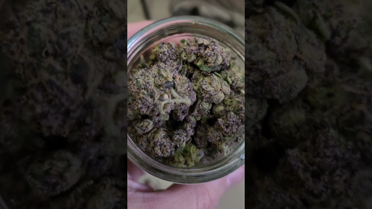 jk distro  purple baby Yoda thca