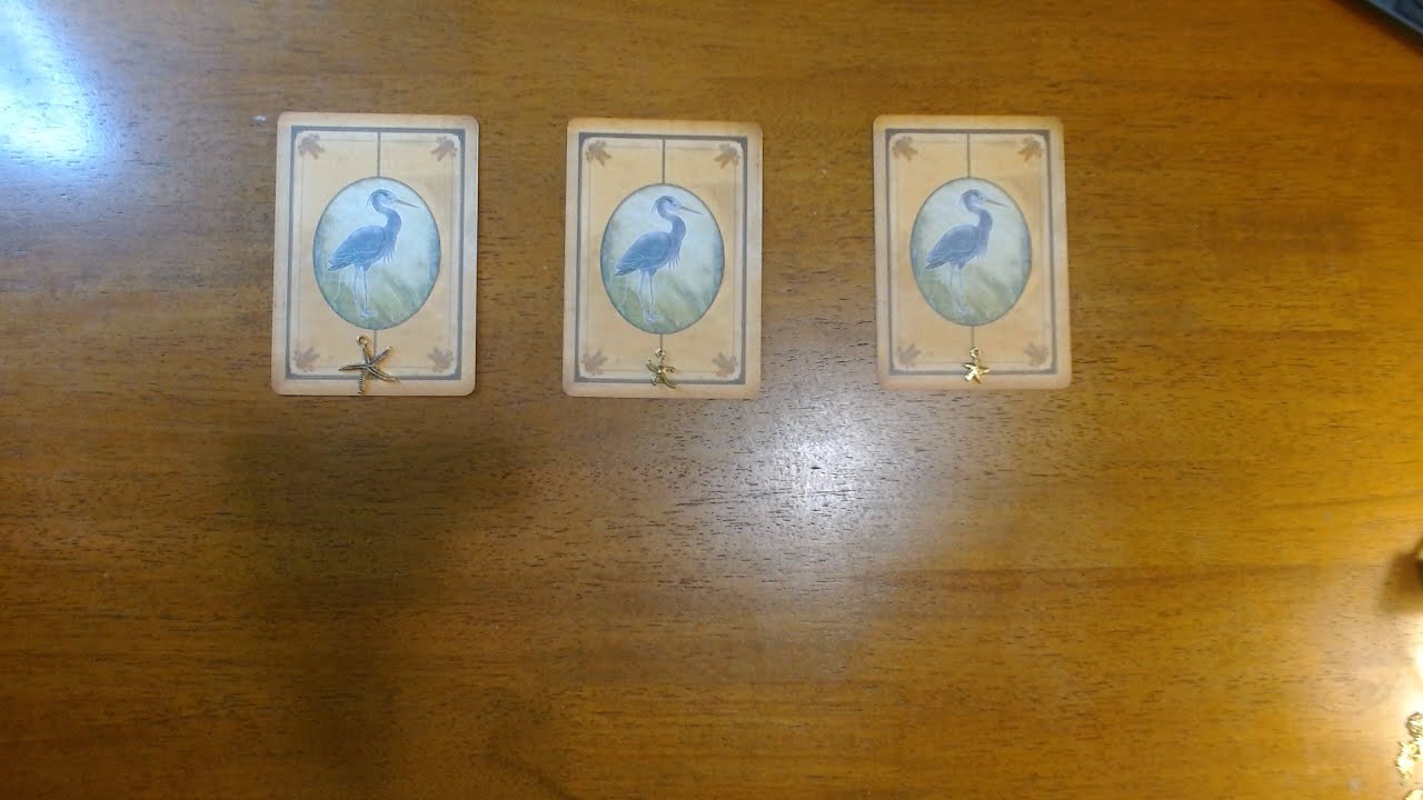 ARE THEY THE ONE? * Pick a Card
