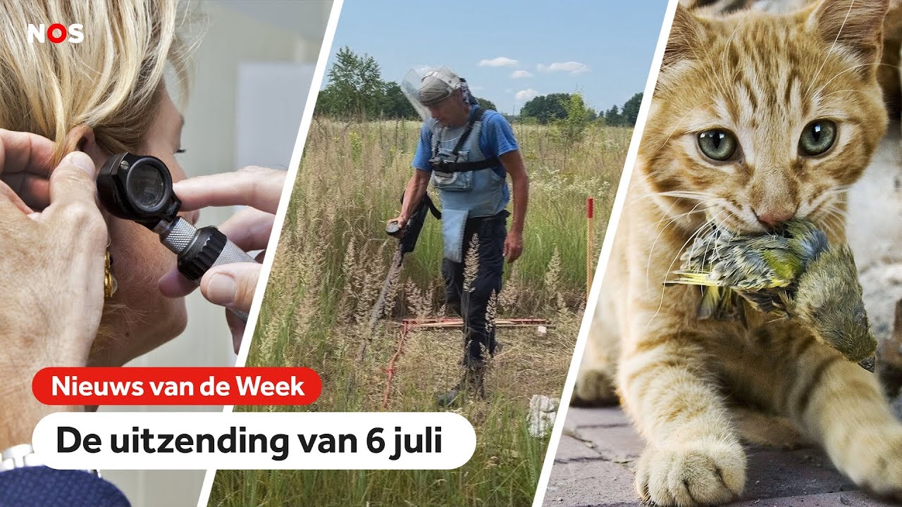Huisartsen hebben het druk, explosieven onschadelijk gemaakt  en katten   aangelijnd.