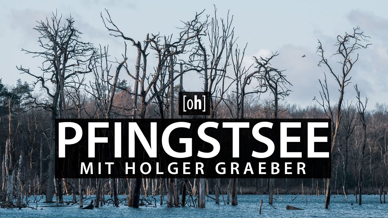 Pfingstsee in Bottrop Kirchellen - Tote Bäume und etwas Wildlife mit @HolgerGraeberphotography