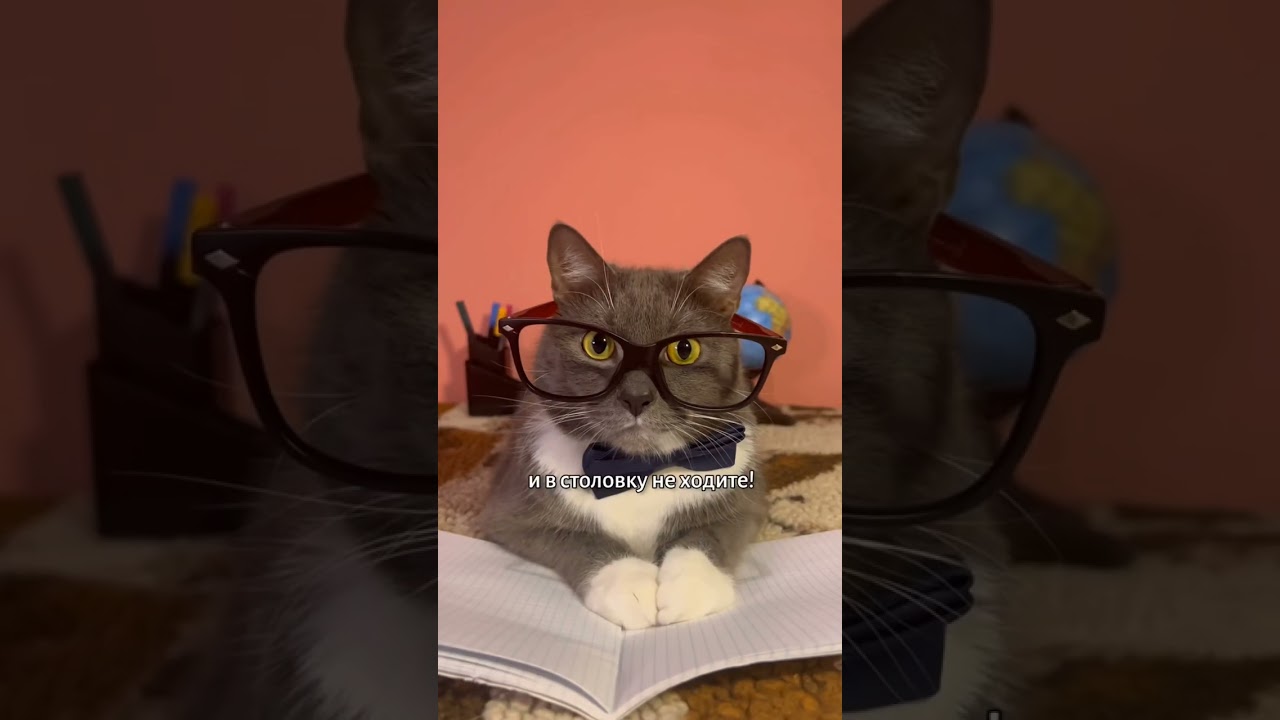Сборник котент но по каждой букве скорость 