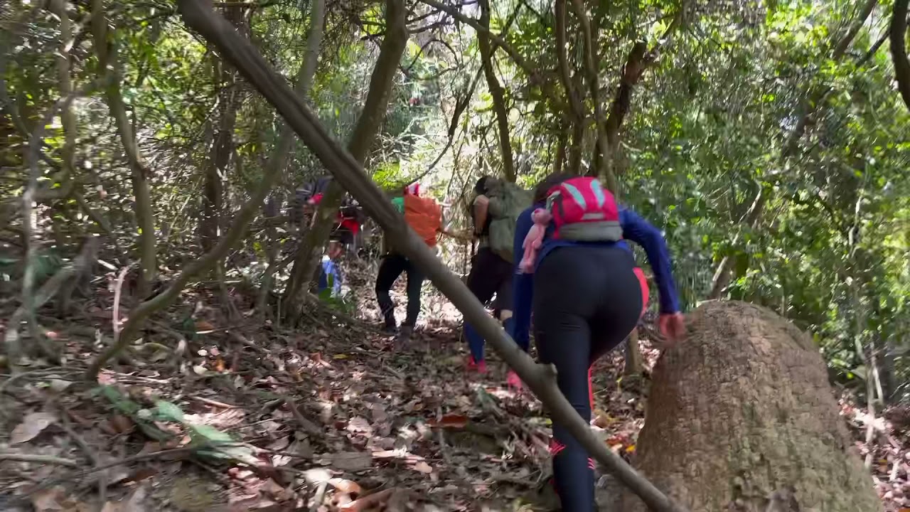 Hiking Adventure at Pulau Gedung | 有惊无险探索 | Vlog Hk3