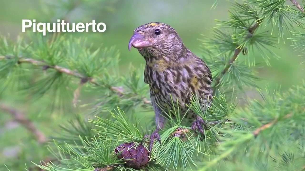 1. El llamado planeta azul
