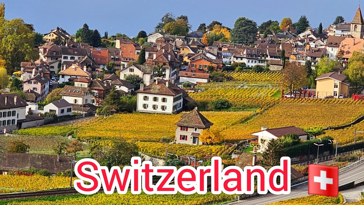 The Vineyards of Lavaux Switzerland🇨🇭@WannafeelFamily 