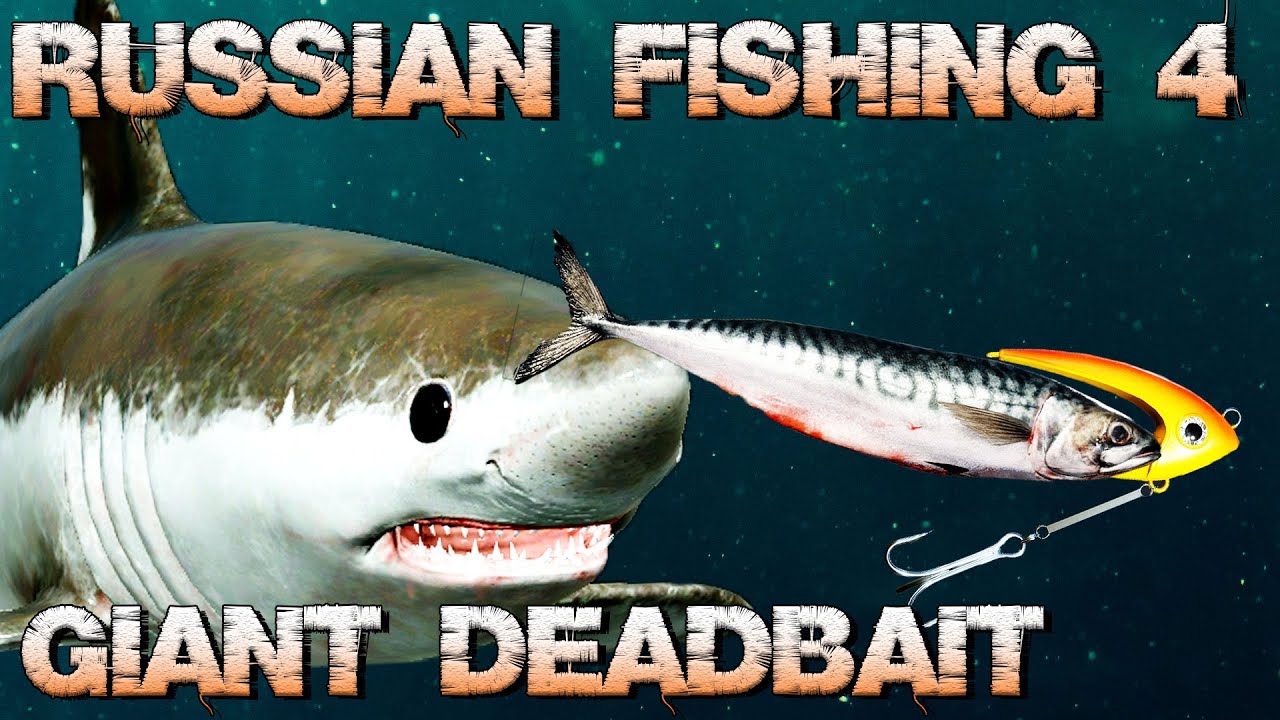 Giant Deadbait, mit ganzem Köderfisch im Meer! | Russian Fishing 4! | PantoffelPlays
