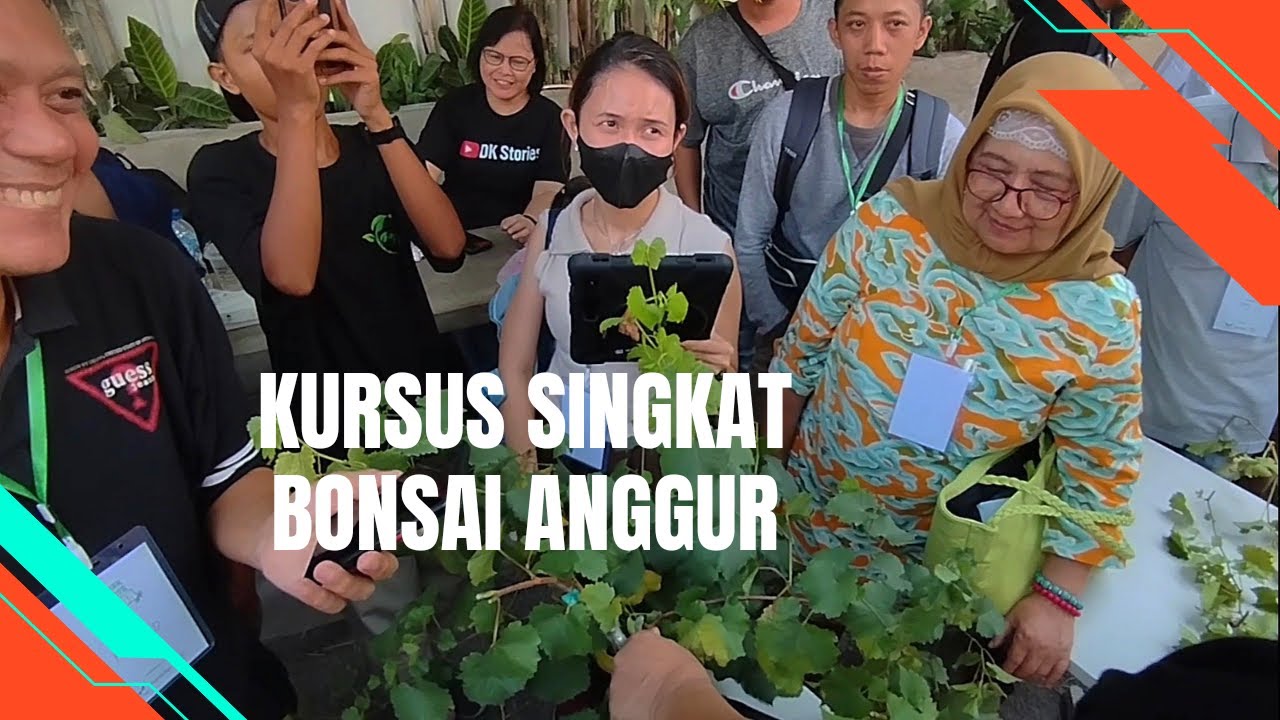 Serunya Kursus Singkat Membuat Bonsai Anggur Plus Bagi Bagi Door Prize