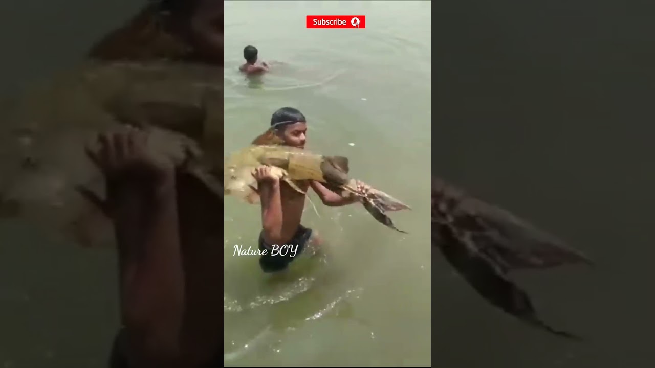 fishing fish by a  mallah boy in ganga river   #shorts #botanicalworldbyshabeer