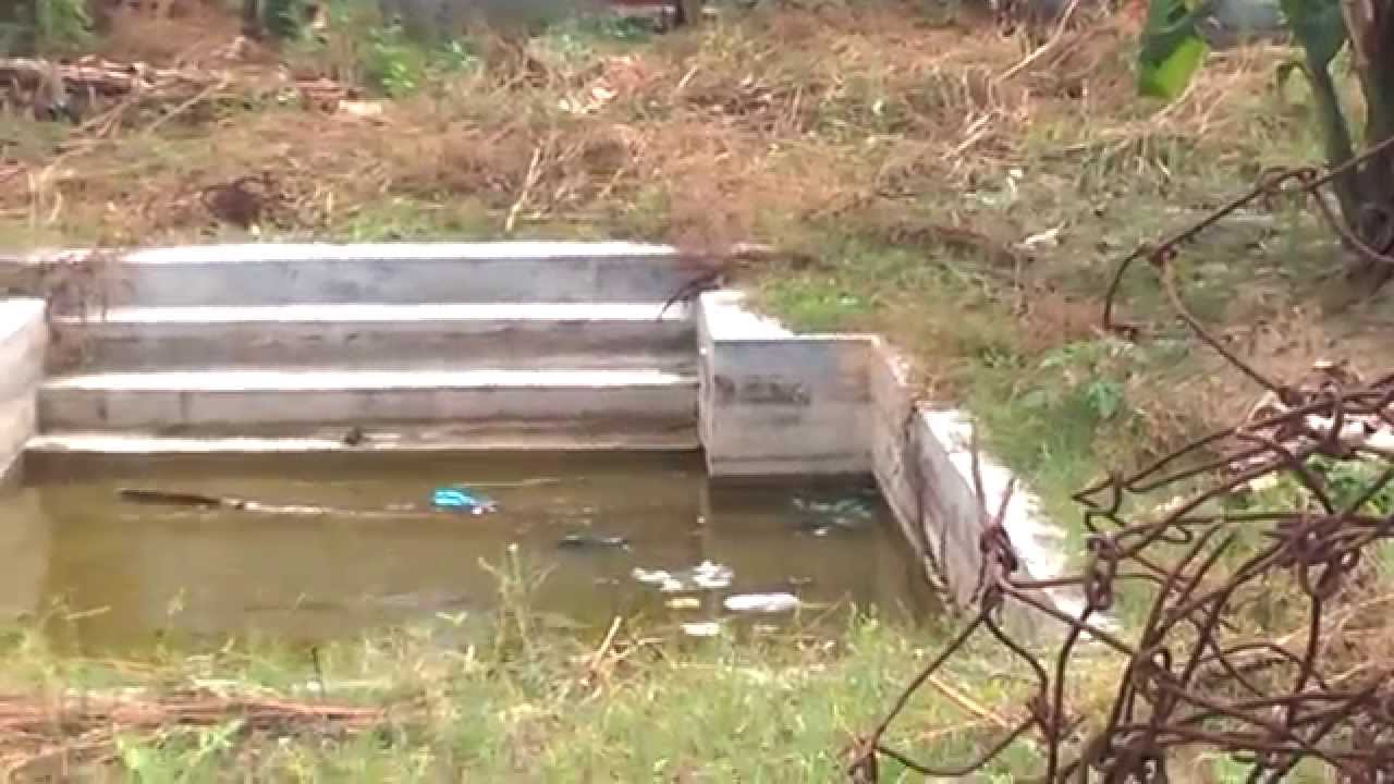restless water due to earthquake in Sitamarhi @indo-nepal border.