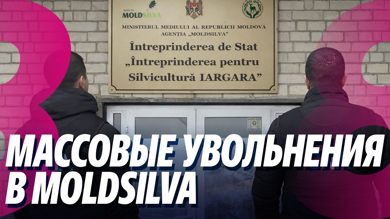 Новости: Массовые увольнения в Moldsilva /Шепелю вновь предстоит отбывать наказание /25.02.2026