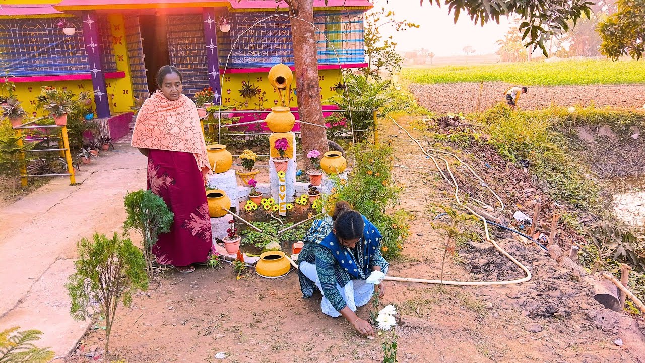 ঘরের সামনে এরকম ভাবে সাজিয়ে রাখতে কার না ভালো লাগে😲|Bengali Vlogs Videos 