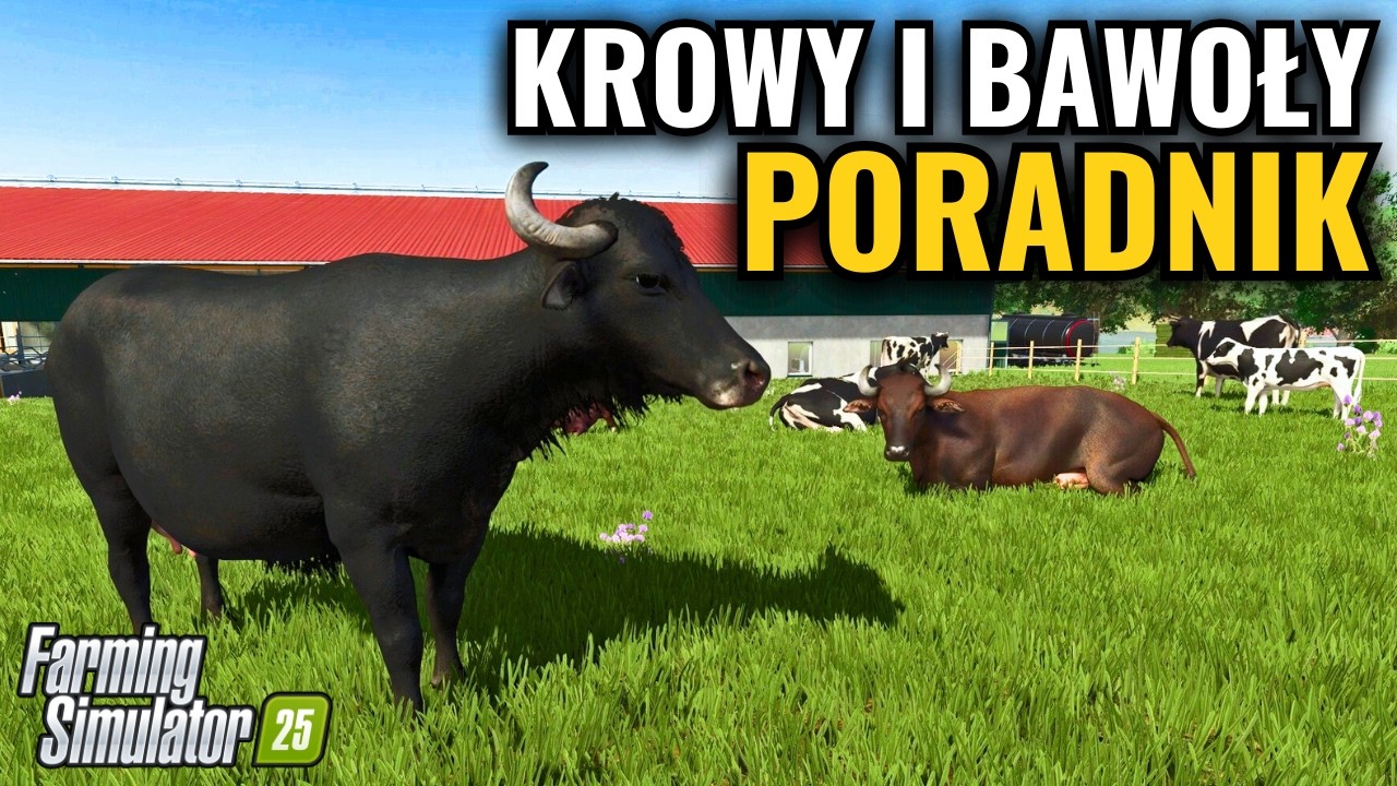 KROWY i BAWOŁY w Farming Simulator 25 🔥 PORADNIK hodowli zwierząt