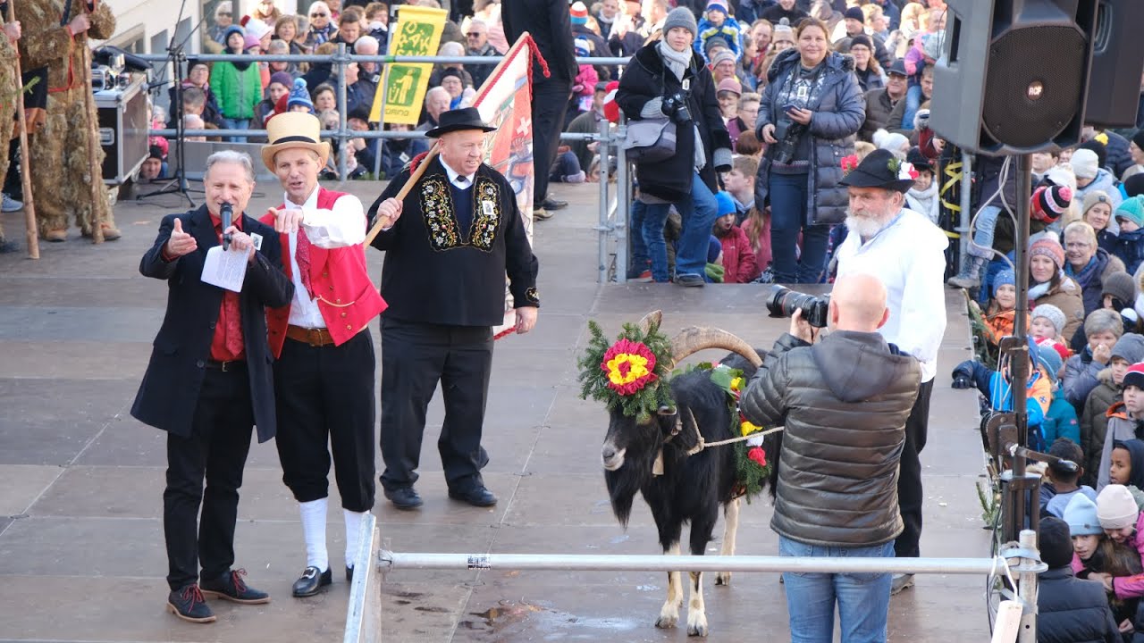 5000 Franken für den Sännechilbi-Geissbock