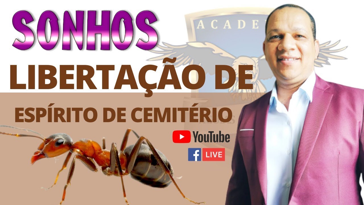 SONHO COM FORMIGAS ESPÍRITOS DO CEMITÉRIO /  SIGNIFICADO E ORAÇÃO / MARATONA DE ORAÇÃO DIA 12