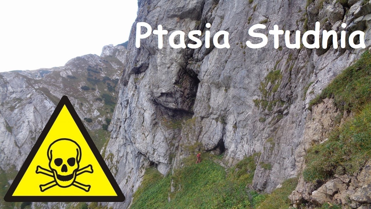 Jaskinia Ptasia Studnia [Sala Gwiazdeczka] (Tatry)