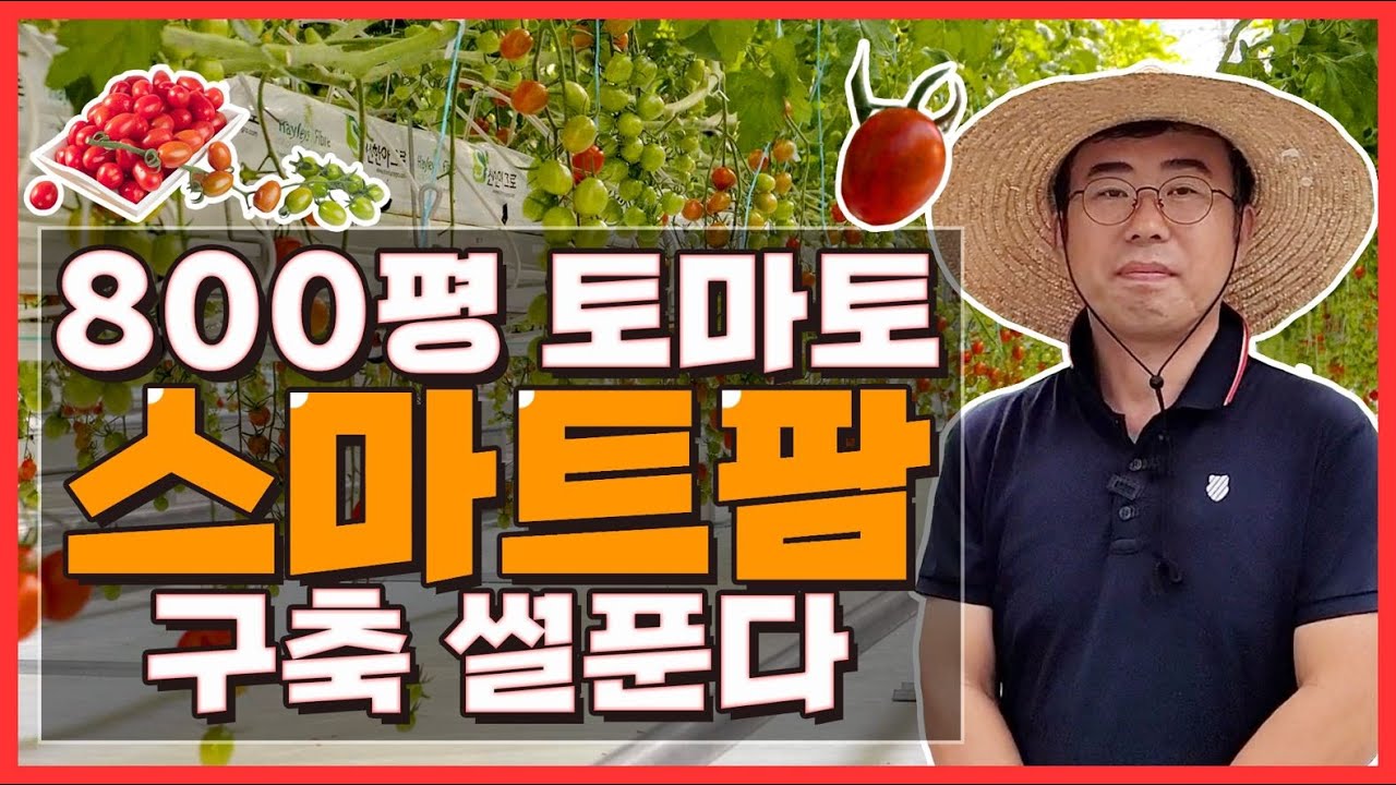 거스를 수 없는 대세, 🍅토마토 스마트팜 시대를 선점하라!