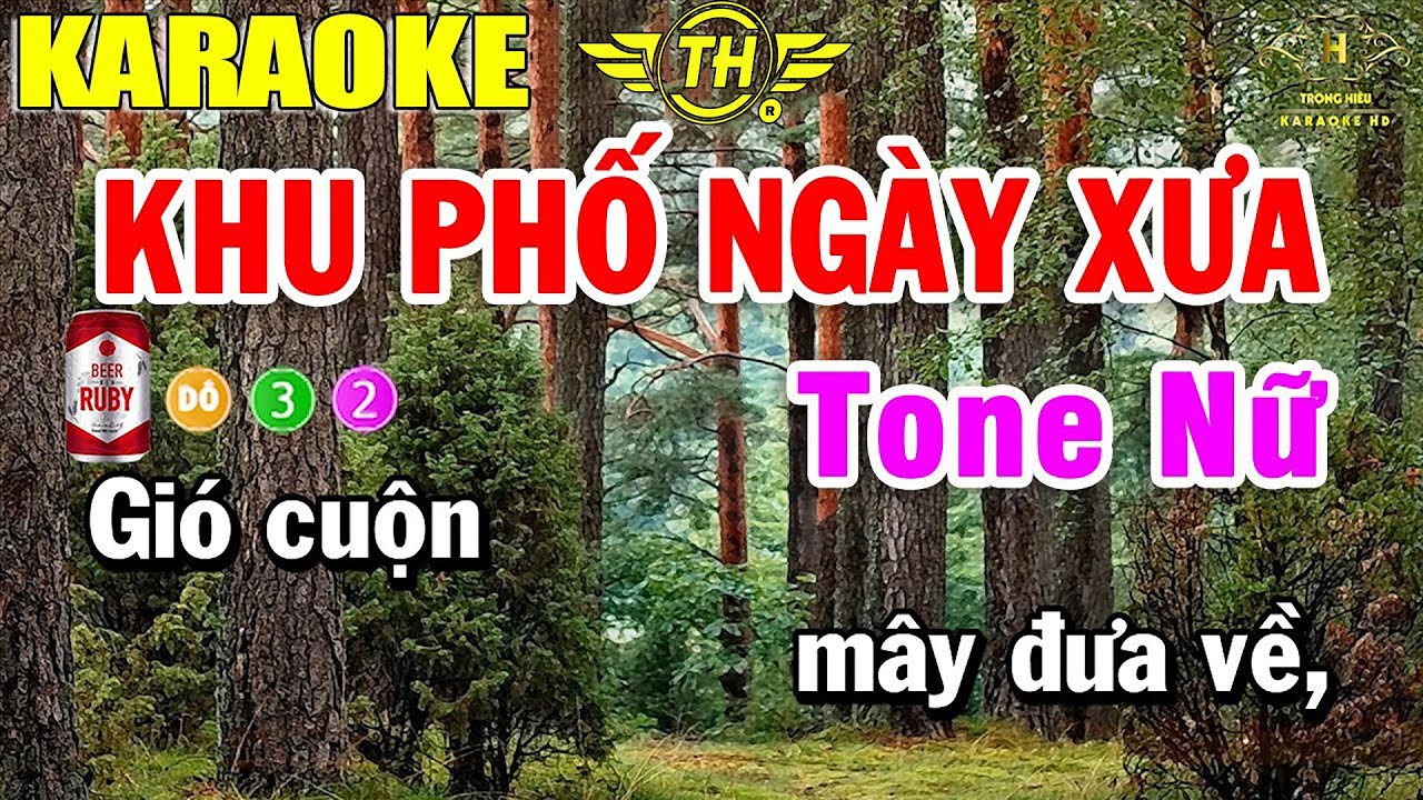 Khu Phố Ngày Xưa Karaoke Toen Nữ Nhạc Sống 2021 | Trọng Hiếu