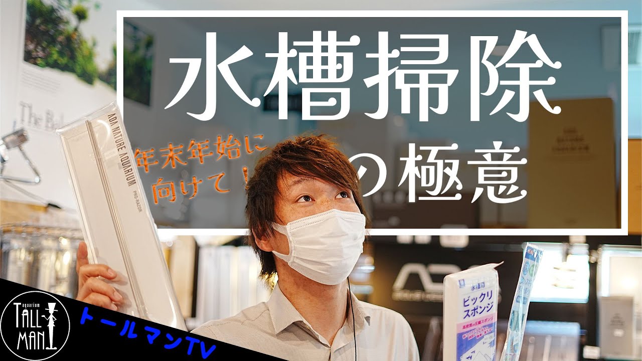 【トールマンTV】年末年始、水槽掃除の極意
