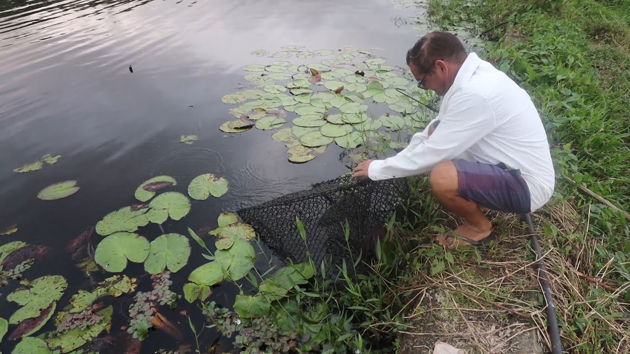 PESCANDO PEIXES NA LAGOA PARA O JANTAR + SOPA DELICIOSA