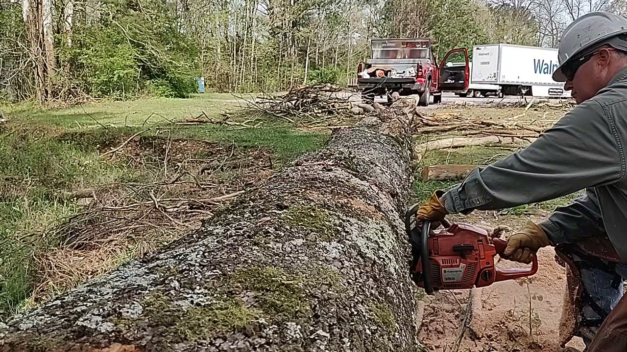 Husqvarna 359 chainsaw. A gift from my cousin.