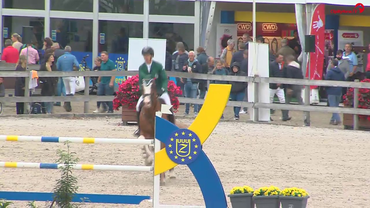 Che, Zangersheide World Breeding Championships