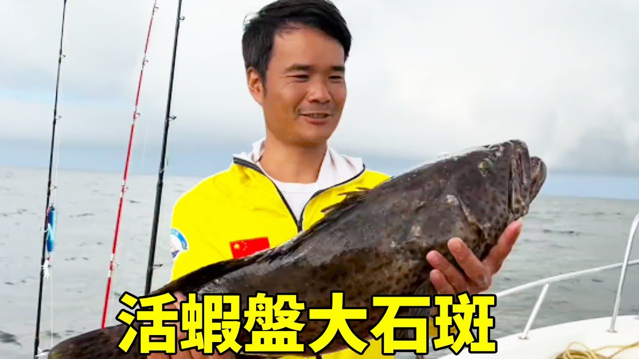 阿鋒活蝦盤大石斑，不料效果竟令人意外，狂拉幾十斤魚貨大賺【探海漁人】