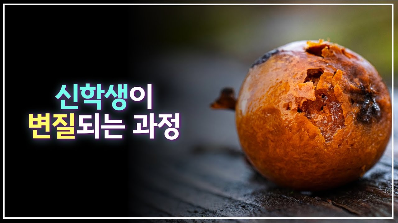 신학생은 어떻게 변질되는가?