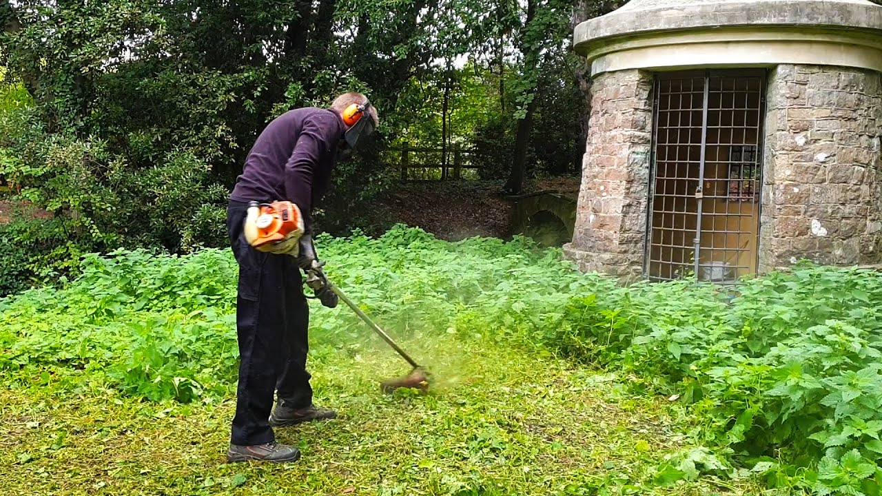 Weeds Have Took Over But I Reclaimed The Throne