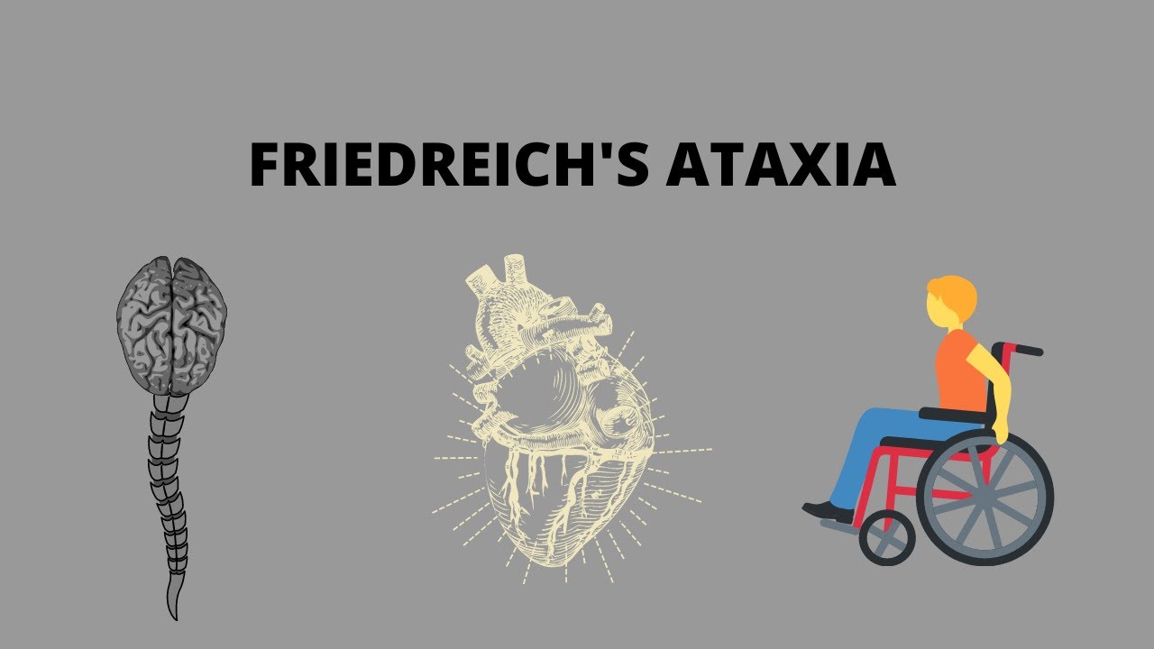 Friedreich's Ataxia | Genetics | Clinical features | Variants | Diagnosis | Treatment |