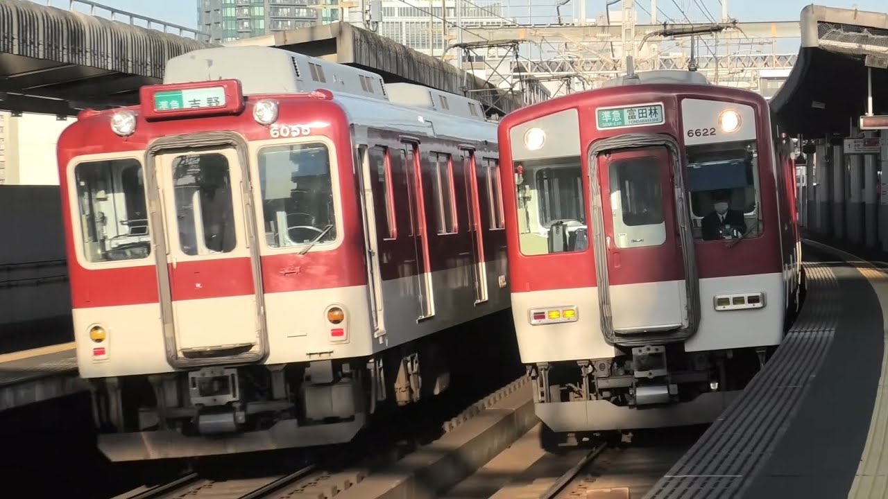 【過密】近鉄南大阪線 河堀口駅 平日朝ラッシュ観測 組成状態が着眼点 2024.11