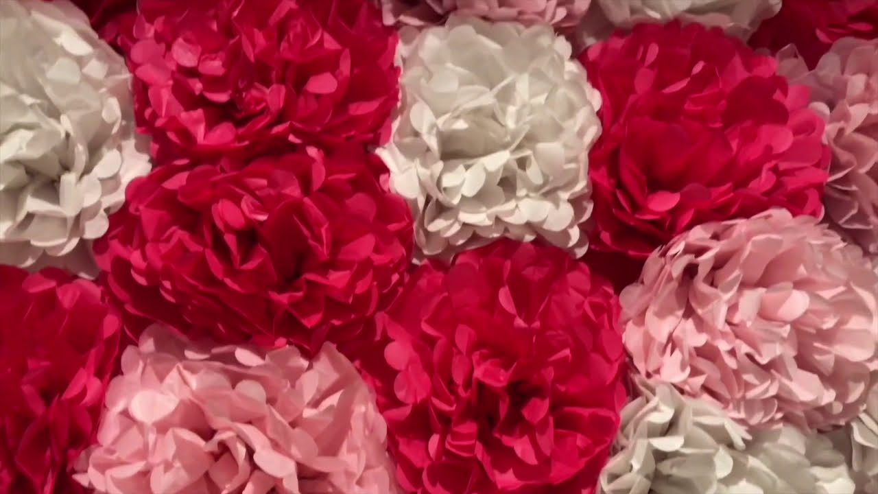 Dollar Tree Tissue Paper Flower Wall Tutorial (DIY INSTRUCTIONS)