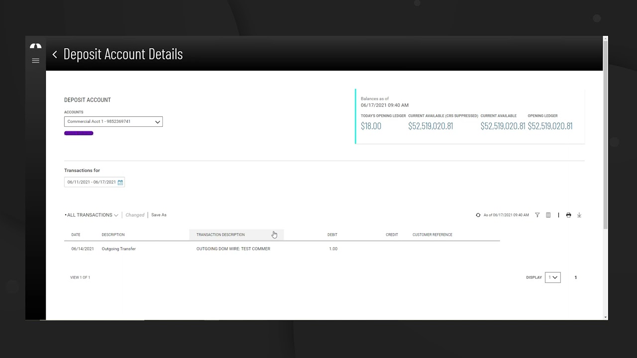 Balance and Transaction Reporting