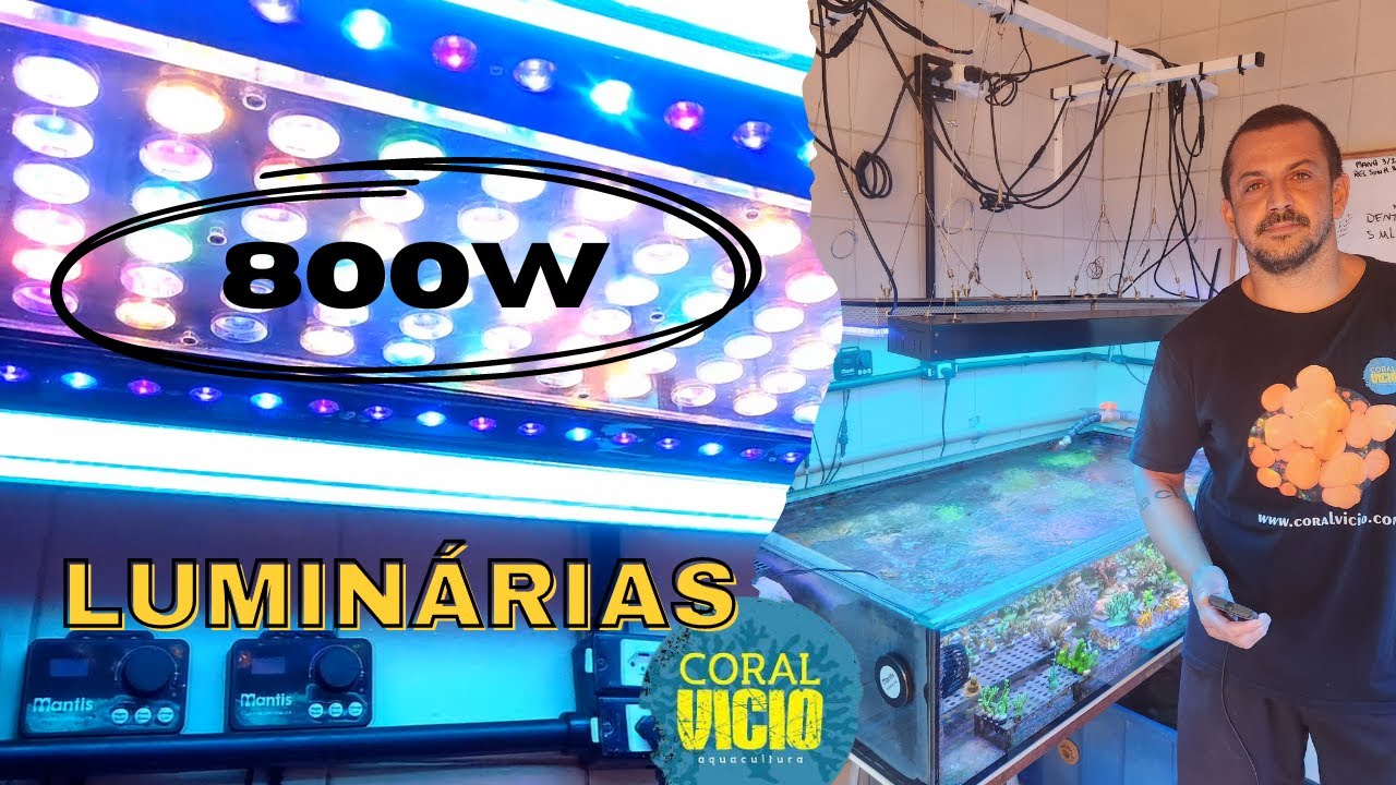 Qual a iluminação ideal para o seu aquário marinho ?