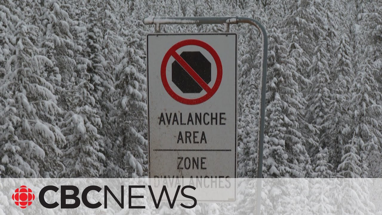 At least 1 killed, others seriously injured in B.C. avalanche