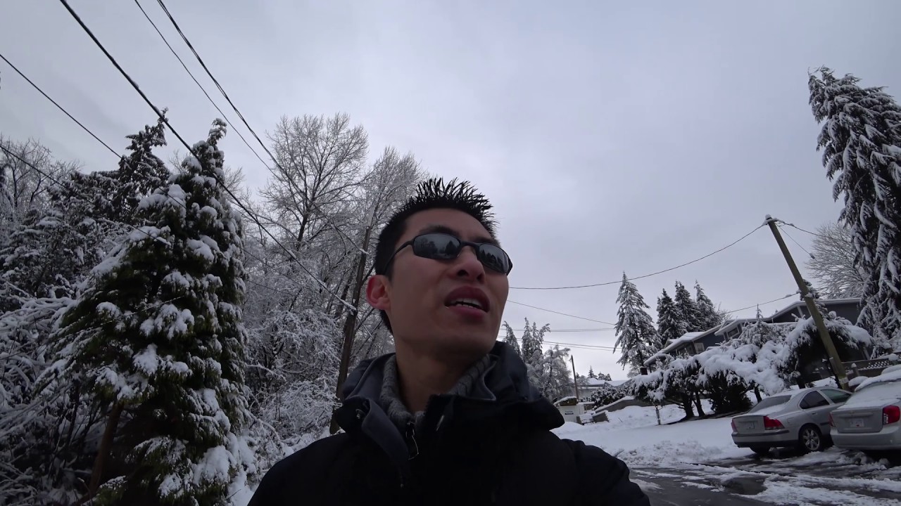 Mavic Pro Drone Through The Winter Woods And Some Common Vancouver Snow News