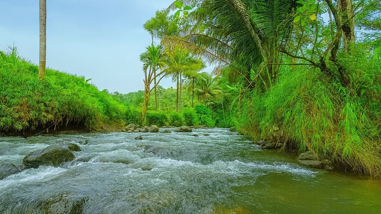 Waldfluss & Fließendes Wasser – White Noise gegen Stress und für besseren Schlaf
