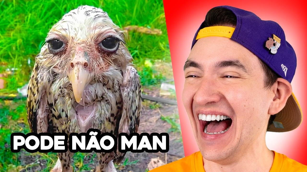 EU TIVE QUE OLHAR DUAS VEZES! Imagens fora de contexto