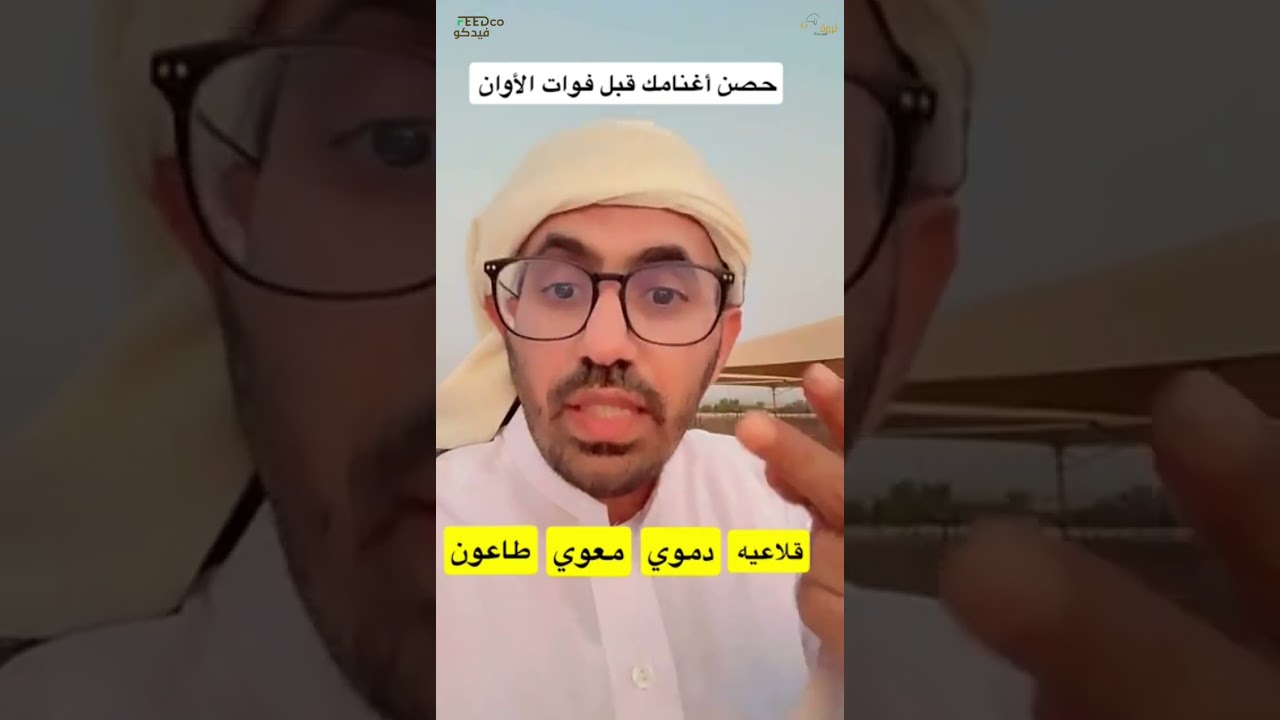 ضرورة تحصين الاغنام