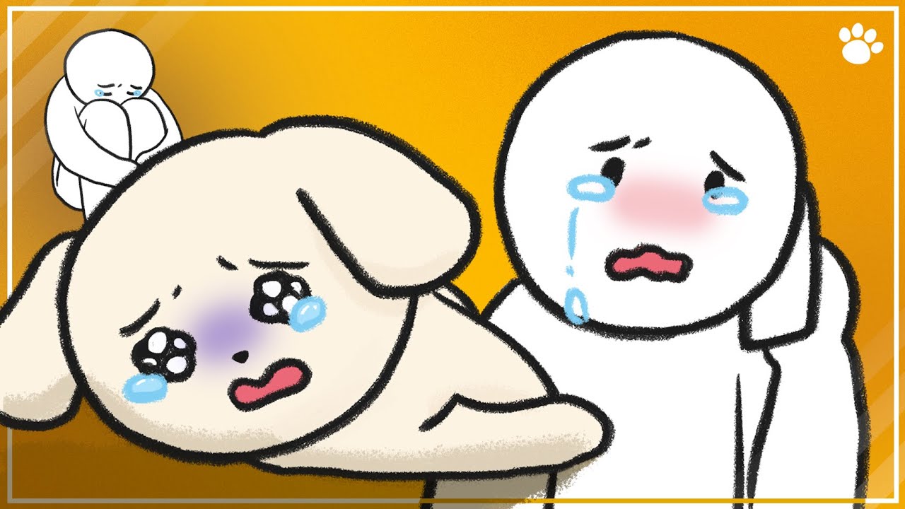 8 Signs A Dog Is Dying - Behaviors And Health Issues | BEMYPET