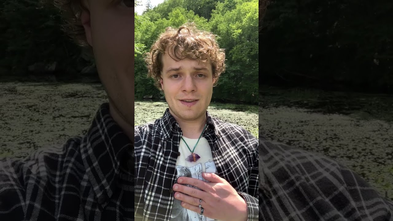 Taylor Swift - august Vocal Cover (Short Version)
