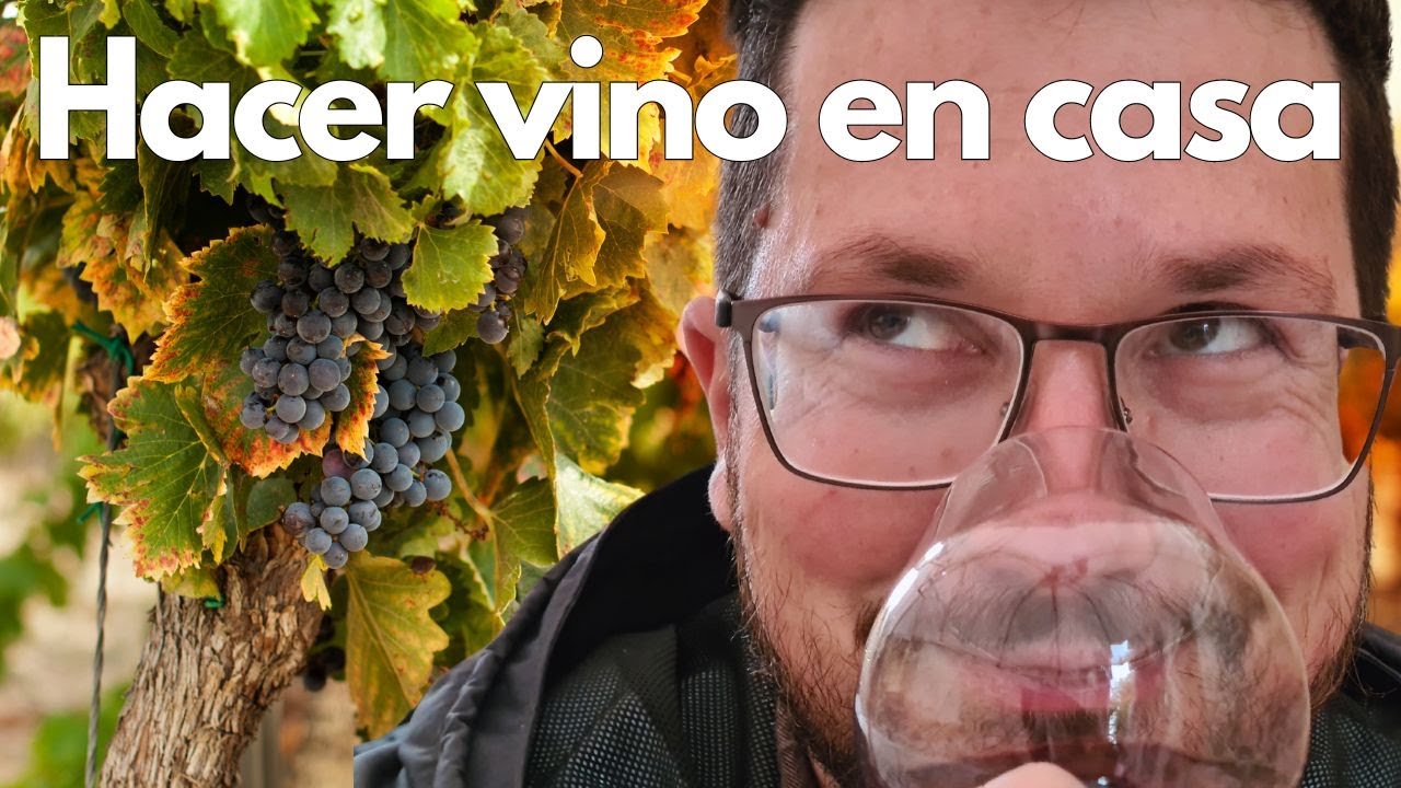 Haz tu propio vino en casa 🍷(lo que necesitas saber)